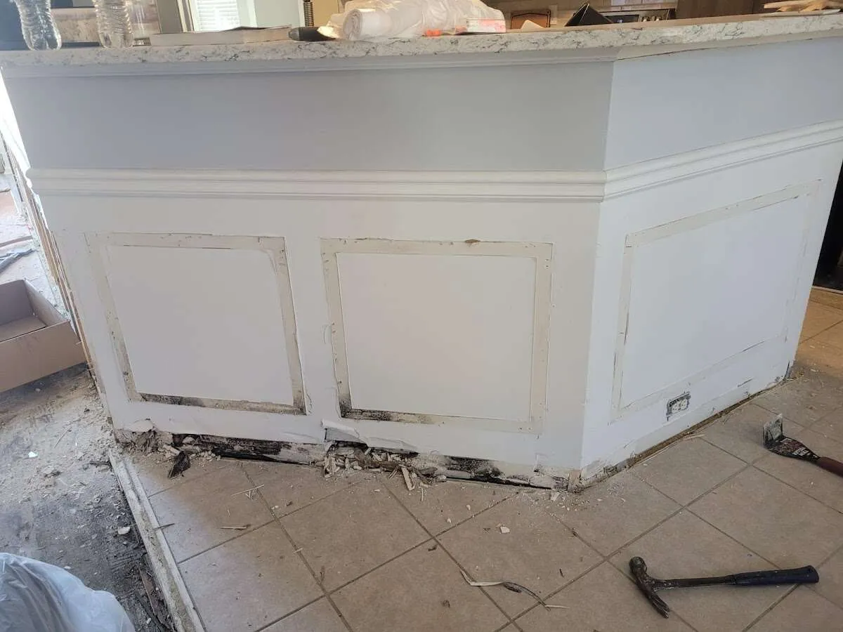 Water damage and mold on kitchen during Sewage Cleanup & Sanitation in Palestine